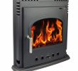 Wood Fireplace Heater Elegant Hothouse Stoves & Flue