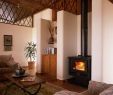 Wood Pellet Fireplace Insert Luxury Guide to Buying A Pellet Stove