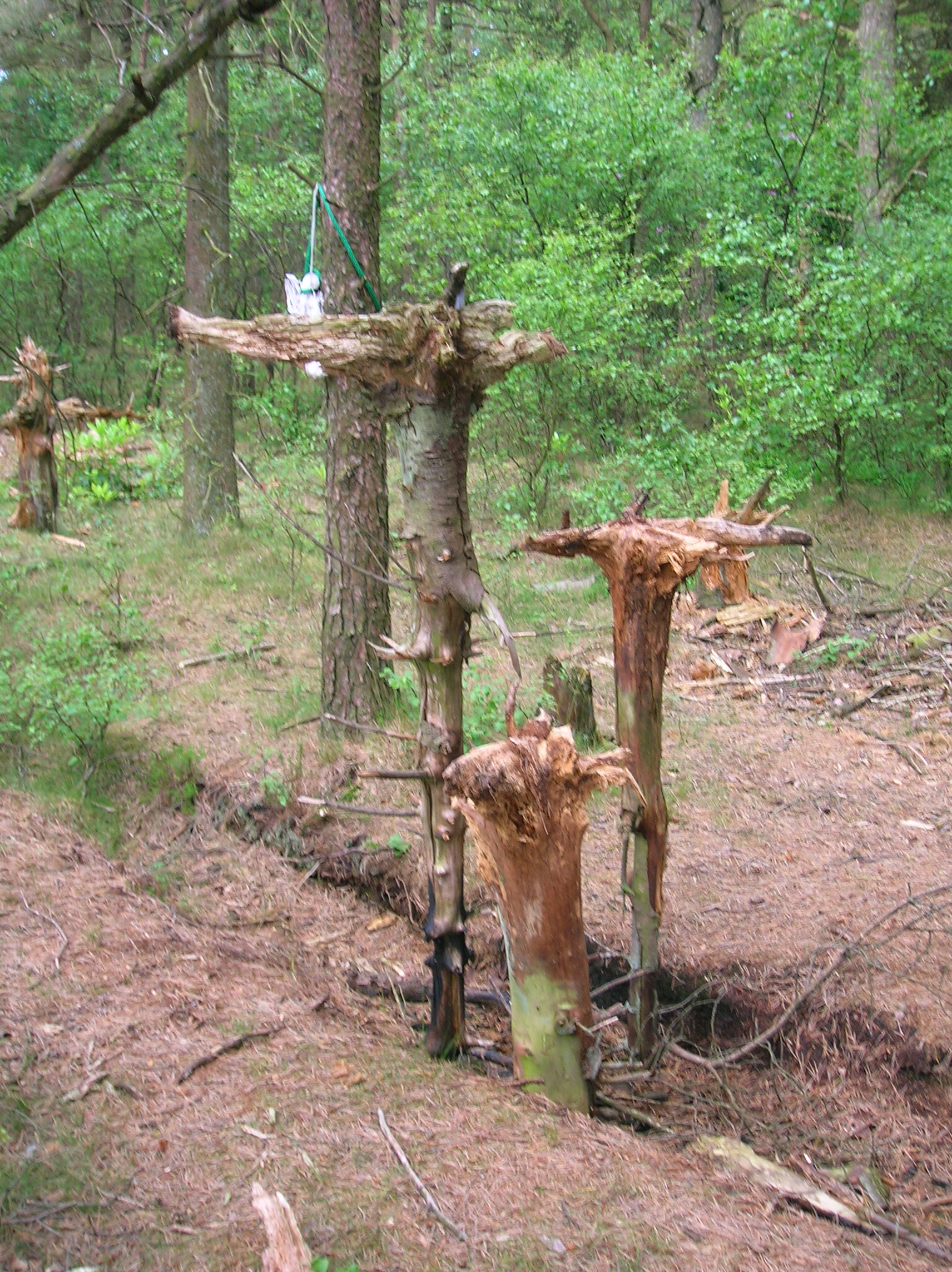 Auchentiber Wikiwand Bloak Wood Art JPG