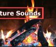Youtube Fireplace Luxury A Fireplace Video with Relaxing Natural Crackling Fire