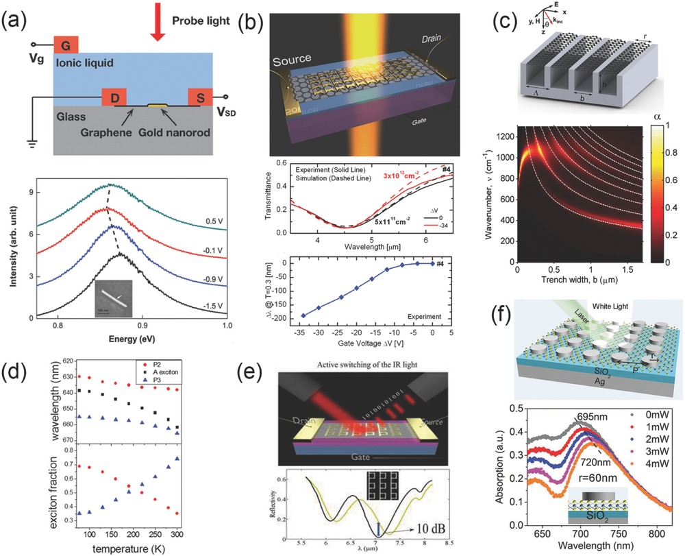 Big Lots Tv Stands Unique Plasmonics Of 2d Nanomaterials Properties and Applications