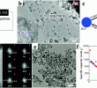 Clearance Big Lots Awesome Recent Progress In Zn Based Anodes for Advanced Lithium Ion