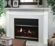 Diy Fireplace Surround Ideas Fresh Pearl Mantels 520 48 Berkley Paint Grade Fireplace Mantel 48 Inch White 48 Inch Renewed