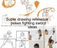 Drawing New Ideas Beautiful New Art Reference Poses Fighting Ideas Dessinele