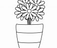 Drawing New Ideas Fresh 21 attractive Rustic Flower Vase Ideas