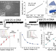 Fire Place Drawing Beautiful Nanomaterials Free Full Text