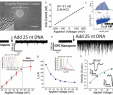 Fire Place Drawing Beautiful Nanomaterials Free Full Text