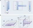 Fire Place Drawing Best Of Graphene and Other 2d Colloids Liquid Crystals and