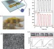 Fire Place Drawing Fresh Flexible Detectors Based On Novel Functional Materials