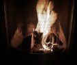 Fireplace Pictures Elegant Fire Wallpaper by Rcball 0d Free On Zedgeâ¢