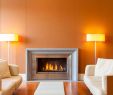 Fireplace Plus San Marcos New Hilton Garden Inn Florence Novoli Florence Price Address