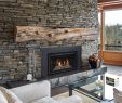 Gas Fireplace Ideas with Tv Above New How to Install Fireplace Door – Fireplace Ideas From "how to