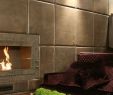 Gas Fireplace Insert Ideas Awesome the London Fireplaces