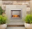 Gas Fireplace Insert Ideas Lovely 31 5 In Stainless Vent Free Outdoor Gas Fireplace Insert with Crystal Fire Glass Media