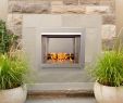 Gas Fireplace Insert Ideas Lovely 31 5 In Stainless Vent Free Outdoor Gas Fireplace Insert with Crystal Fire Glass Media