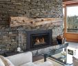 Gas Fireplace Insert Ideas Unique How to Install Fireplace Door – Fireplace Ideas From "how to