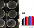 High Heat Paint Best Of Nanomaterials Free Full Text