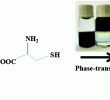 High Heat Paint New Enhanced Photothermal Behavior Derived From Controllable