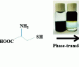 High Heat Paint New Enhanced Photothermal Behavior Derived From Controllable