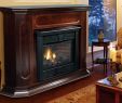 Lowes Fireplace Elegant Propane Fireplace February 2017