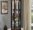 Modern Corner Electric Fireplace Beautiful Franklyn Corner Lighted Curio Cabinet