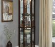 Modern Corner Electric Fireplace Beautiful Franklyn Corner Lighted Curio Cabinet