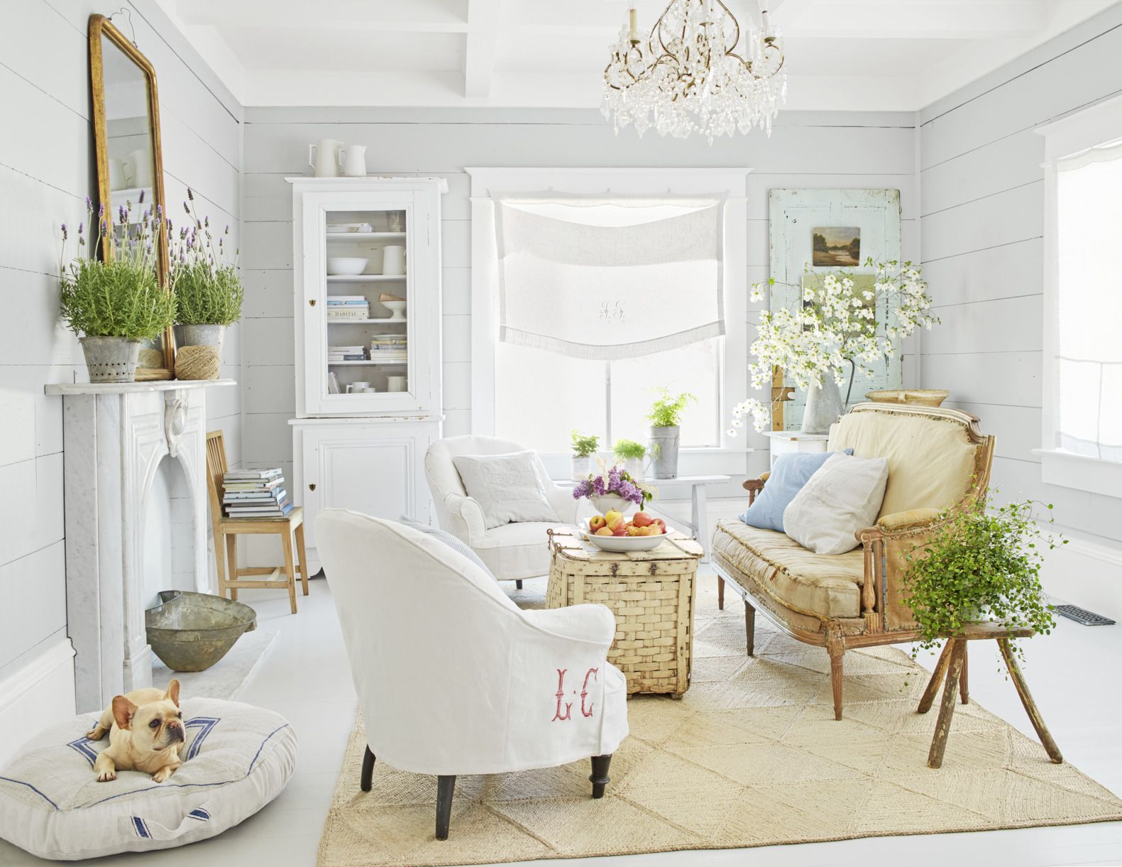 35 Best White Living Room Ideas Ideas for White Living white living room sunny