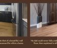 Rendering Fireplace Best Of 25 Fantastic Hardwood Floor Finishes Colors
