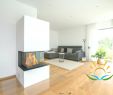 Rendering Fireplace Best Of Desi Divider Fireplace Interior Living Modern Room