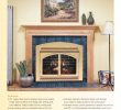 Arched Fireplace Door Elegant Ef500 Shown with Optional Pewter Arched Front Black Door