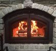 Arched Fireplace Door Fresh Home