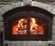 Arched Fireplace Door Fresh Home