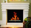 Astria Fireplace Elegant Direct Vent Gas Fireplace