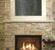Astria Fireplace New astria Envy 45 Gas Fireplace the Fireplace Pros