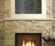 Astria Fireplace New astria Envy 45 Gas Fireplace the Fireplace Pros