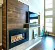 Electric Fireplace with Bookshelf Unique Amazing Houzz Electric Fireplace Modern Magnificent Idea