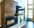 Electric Fireplace with Bookshelf Unique Amazing Houzz Electric Fireplace Modern Magnificent Idea