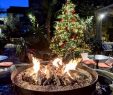 Electric Outdoor Fireplace Elegant What Type Of Fire is Right for Your Home