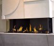 European Home Fireplace Inspirational Trisore140