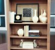 Fireplace Bookshelf Luxury Wall Mouthed Ideas Of Fireplace with Bookcase Inside Full