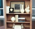 Fireplace Bookshelf Luxury Wall Mouthed Ideas Of Fireplace with Bookcase Inside Full