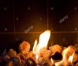 Fireplace Rocks Unique Close Up Of Burning Rocks In the Fireplace Stock