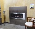 Fireplace Warehouse Etc Fresh Napoleon Lhd45 with Stainless Steel Surround and Screen