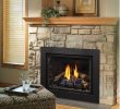 Kingsman Fireplace Fresh Direct Vent Natural Gas Propane Fireplace Insert