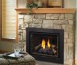 Kingsman Fireplace Fresh Direct Vent Natural Gas Propane Fireplace Insert