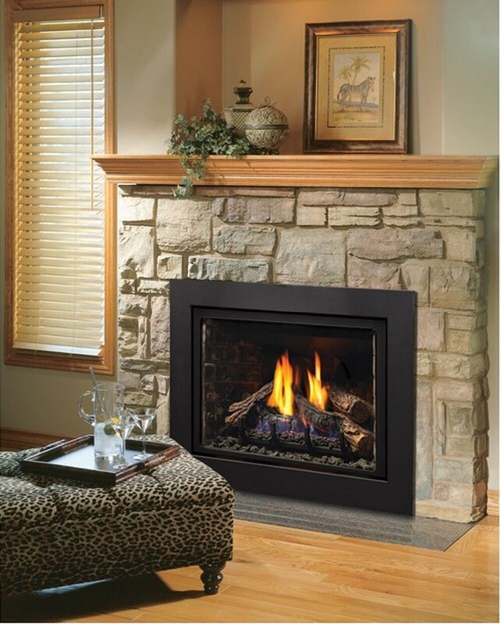 direct vent natural gaspropane fireplace insert