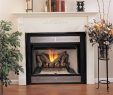Kingsman Fireplace Luxury Vantage Hearth B Vent Gas Fireplace Premium Traditional