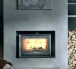 Modern Fireplace Screens Awesome Modern Fireplace Glass Doors – Leyeshprintse