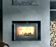 Modern Fireplace Screens Awesome Modern Fireplace Glass Doors – Leyeshprintse