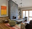 Modern Fireplace Screens Beautiful Brushed Nickel Fireplace Screen Modern Living Room Also area
